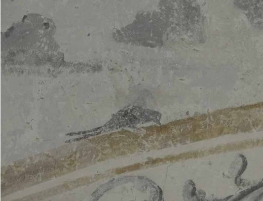 gros plan oiseau